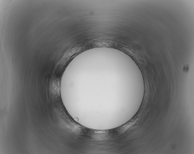 X0000090880240200707271023