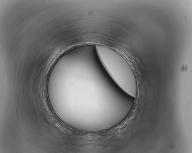 X0000090880241200707271023