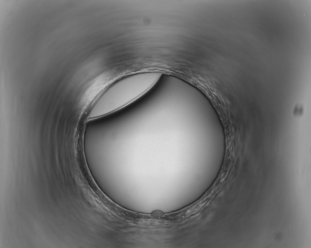 X0000090880242200707271023