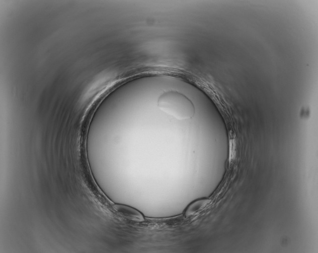 X0000090880243200707271023