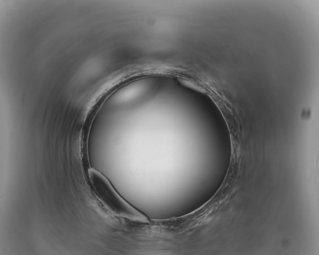 X0000090880244200707271023