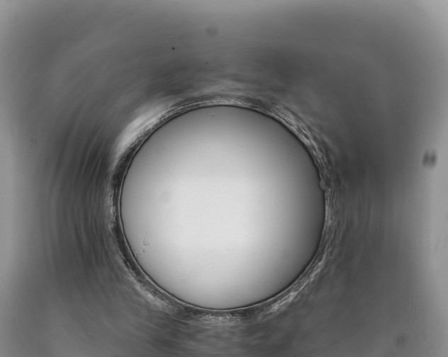 X0000090880245200707271023