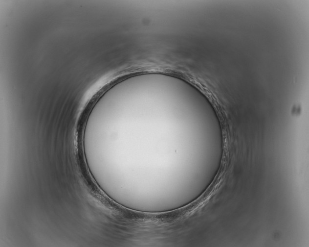 X0000090880246200707271023