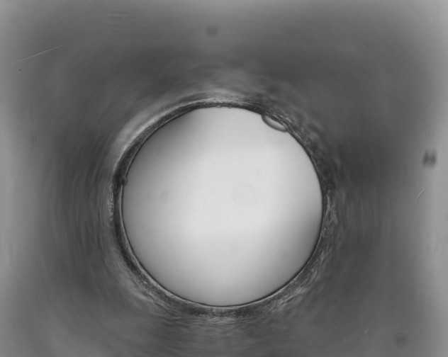 X0000090880247200707271023