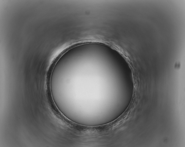 X0000090880248200707271023