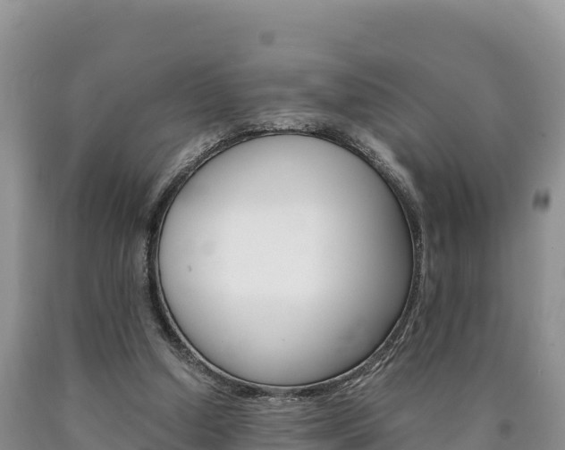 X0000090880250200707271023