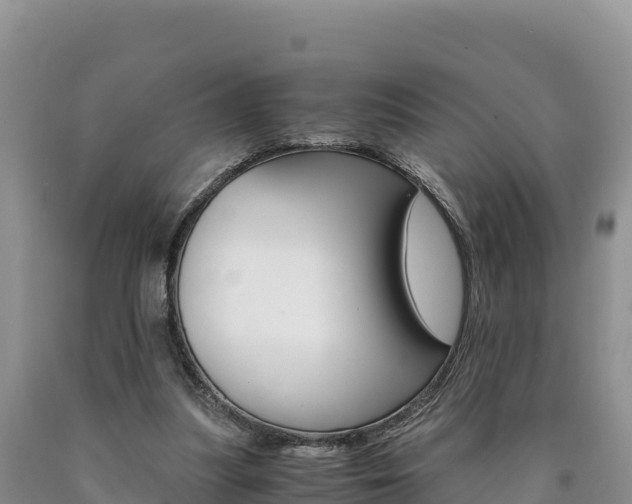 X0000090880251200707271023