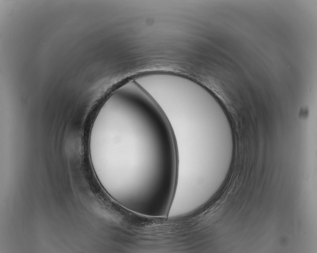 X0000090880252200707271023