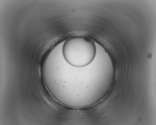 X0000090880254200707271023