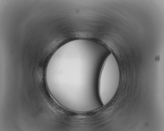 X0000090880255200707271023