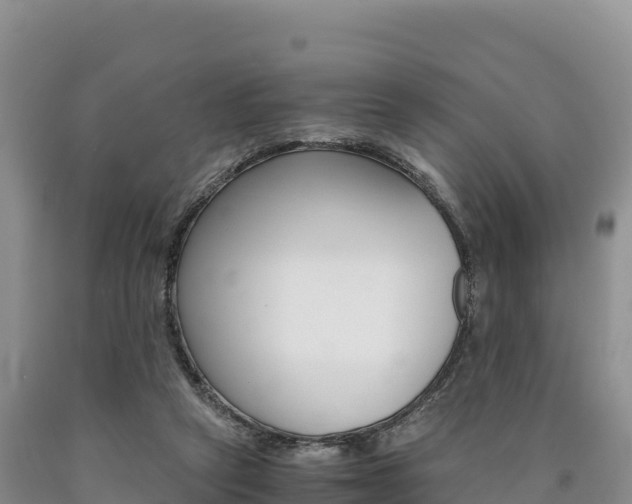 X0000090880257200707271023