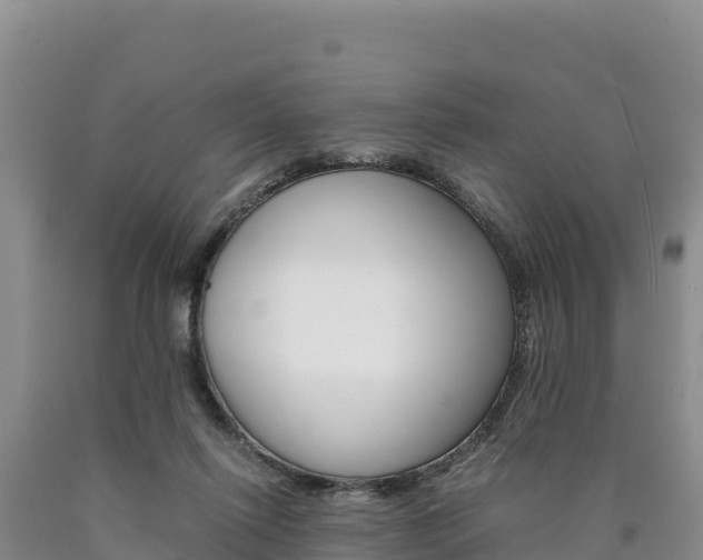 X0000090880262200707271023