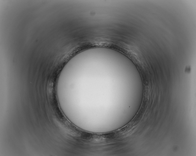 X0000090880263200707271023