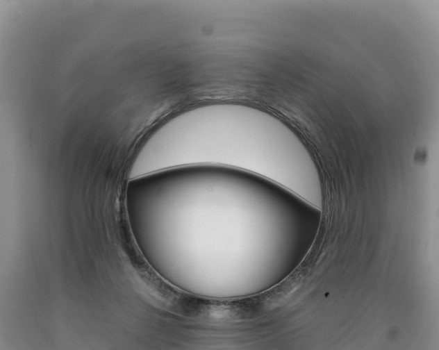 X0000090880264200707271023