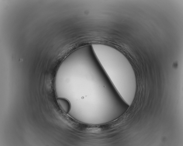 X0000090880266200707271023