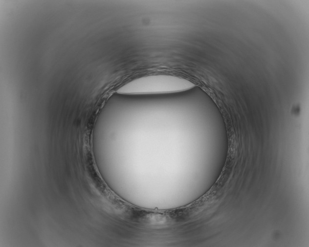 X0000090880272200707271023