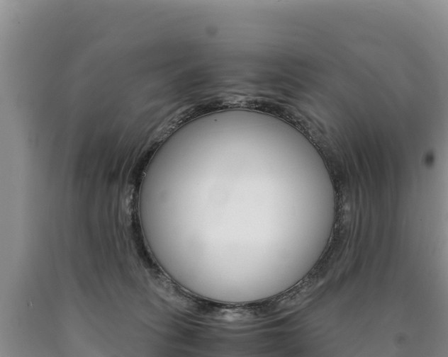 X0000090880275200707271023