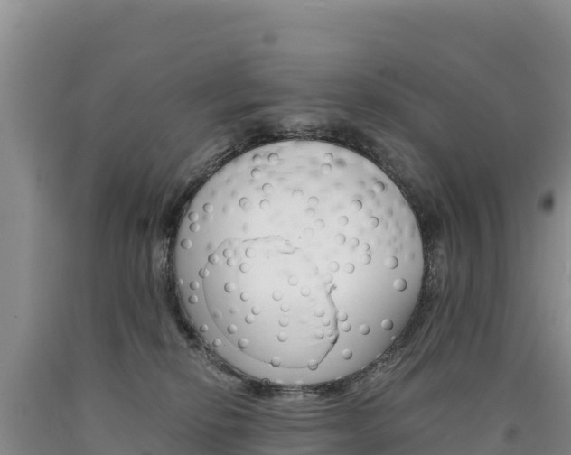 X0000090880278200707271023