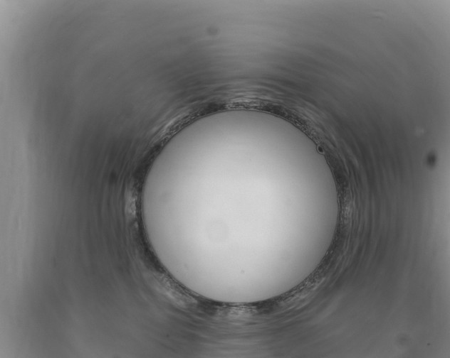 X0000090880282200707271023