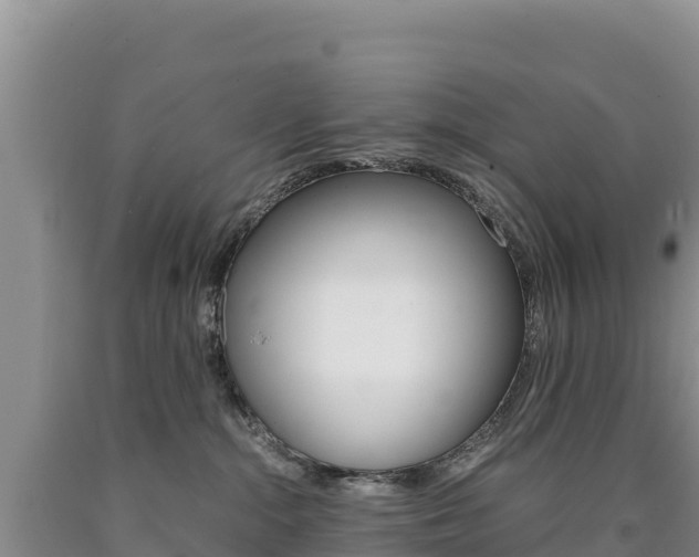 X0000090880284200707271023