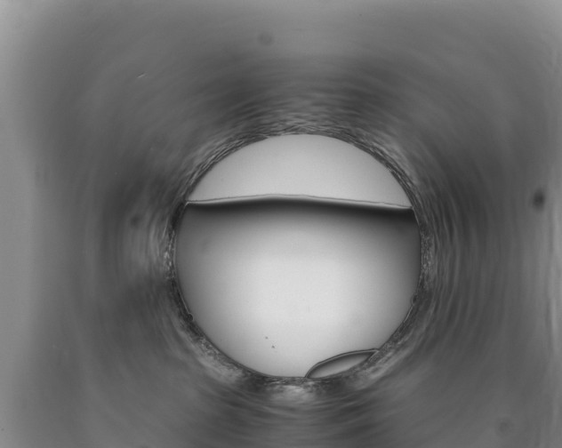 X0000090880285200707271023