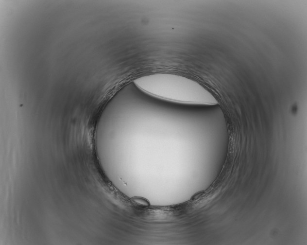 X0000090880286200707271023