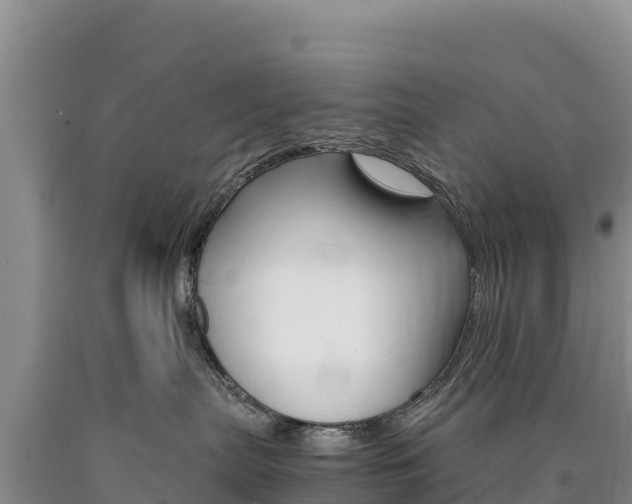 X0000090880287200707271023