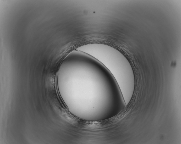 X0000090880288200707271023