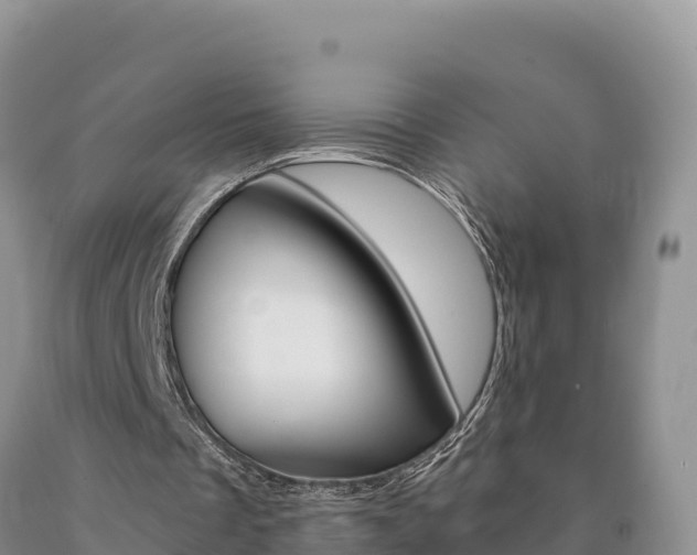 X0000090880289200707271023