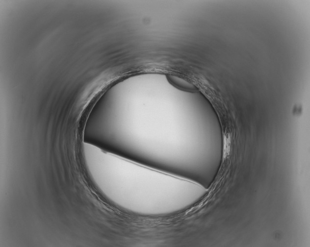 X0000090880291200707271023