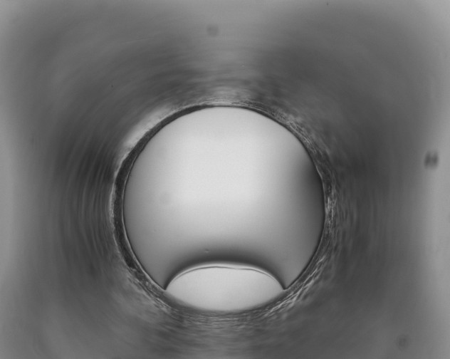 X0000090880292200707271023