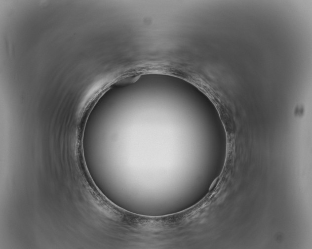 X0000090880293200707271023