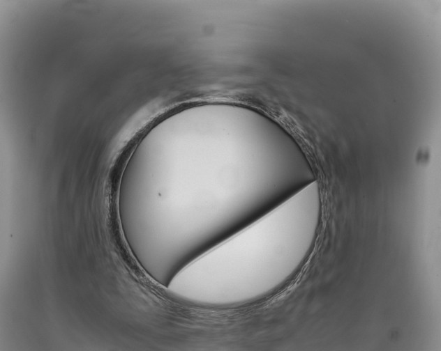 X0000090880295200707271023