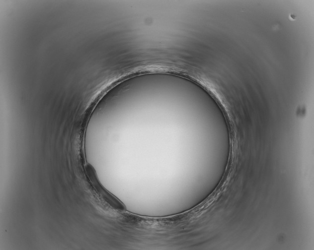 X0000090880297200707271023