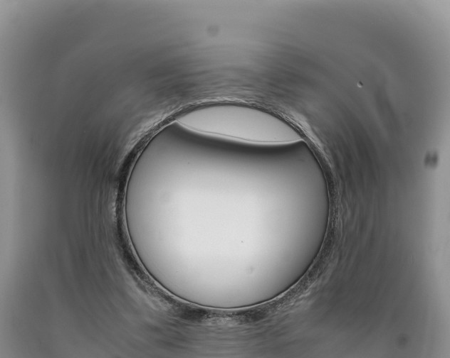 X0000090880299200707271022