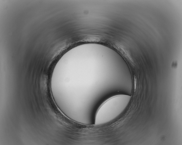 X0000090880300200707271022