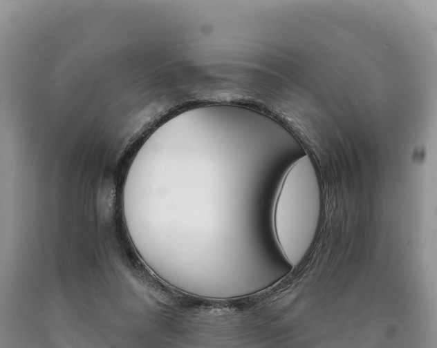 X0000090880304200707271022
