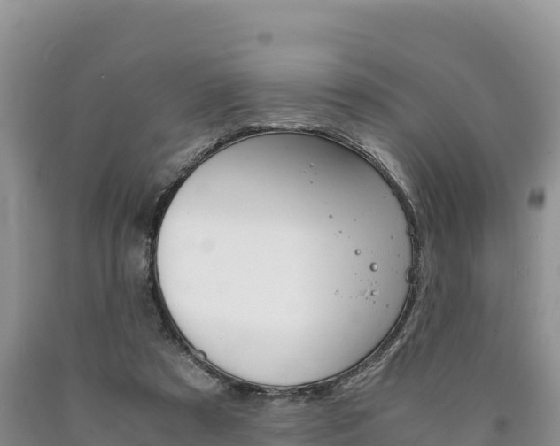 X0000090880305200707271022
