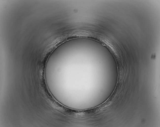 X0000090880309200707271022
