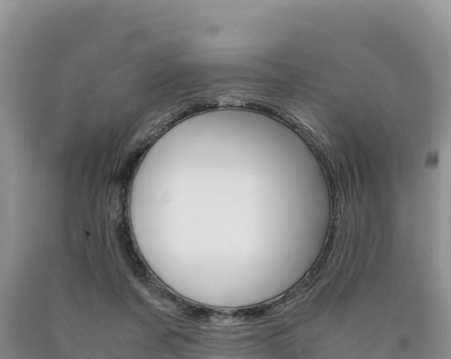 X0000090880311200707271022