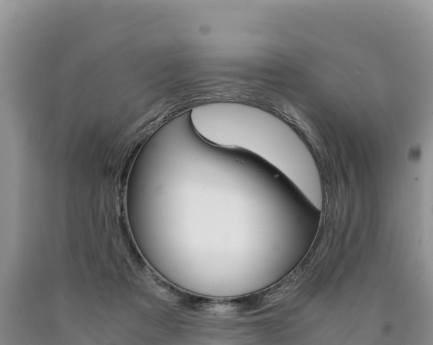 X0000090880313200707271022