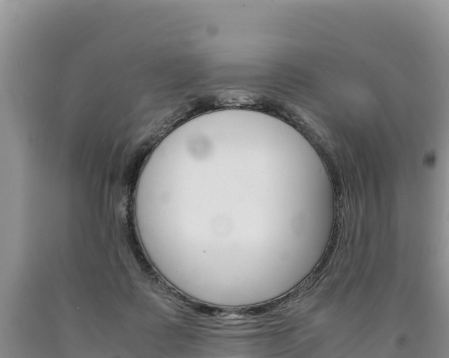 X0000090880315200707271022