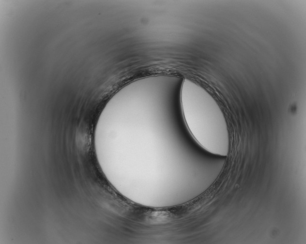 X0000090880324200707271022