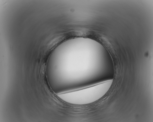 X0000090880325200707271022