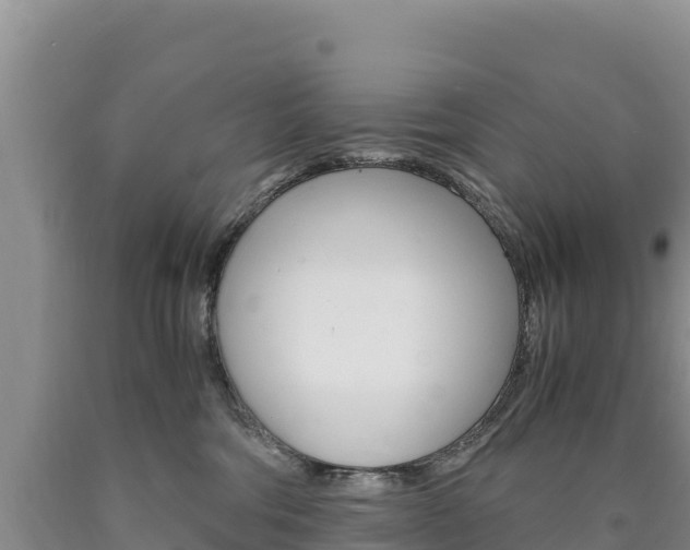 X0000090880330200707271022