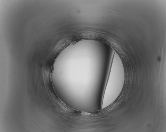 X0000090880333200707271022