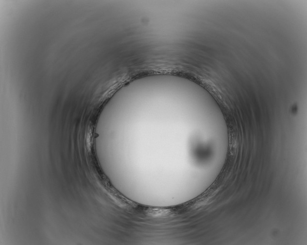 X0000090880334200707271022