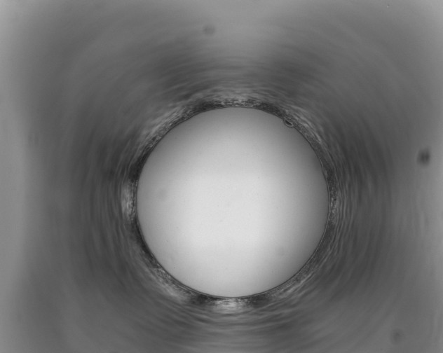 X0000090880335200707271022
