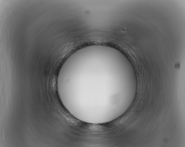 X0000090880336200707271022
