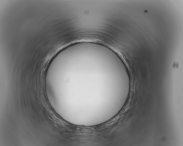 X0000090880337200707271021